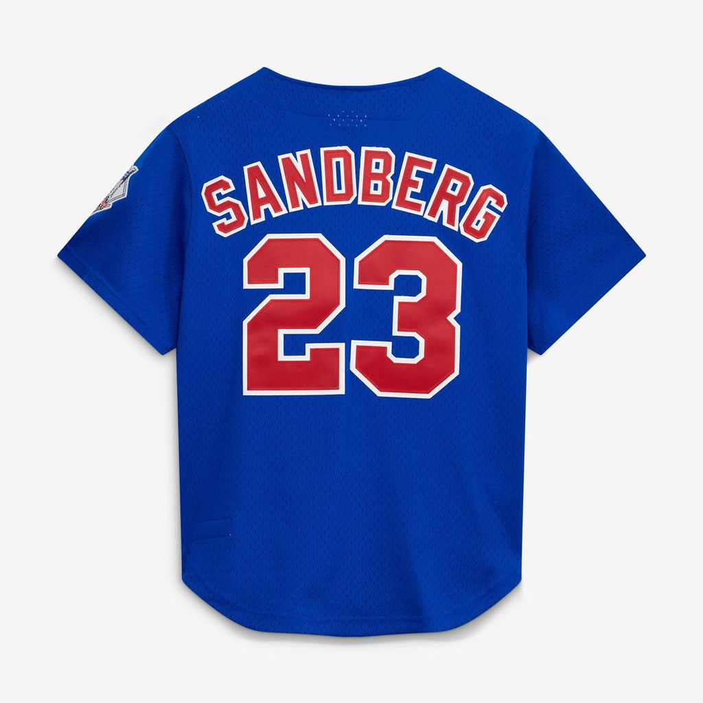 Chicago Cubs Ryne Sandberg Mitchell & Ness Royal Cooperstown Collection 1997 Mesh Batting Practice Button-Up Jersey