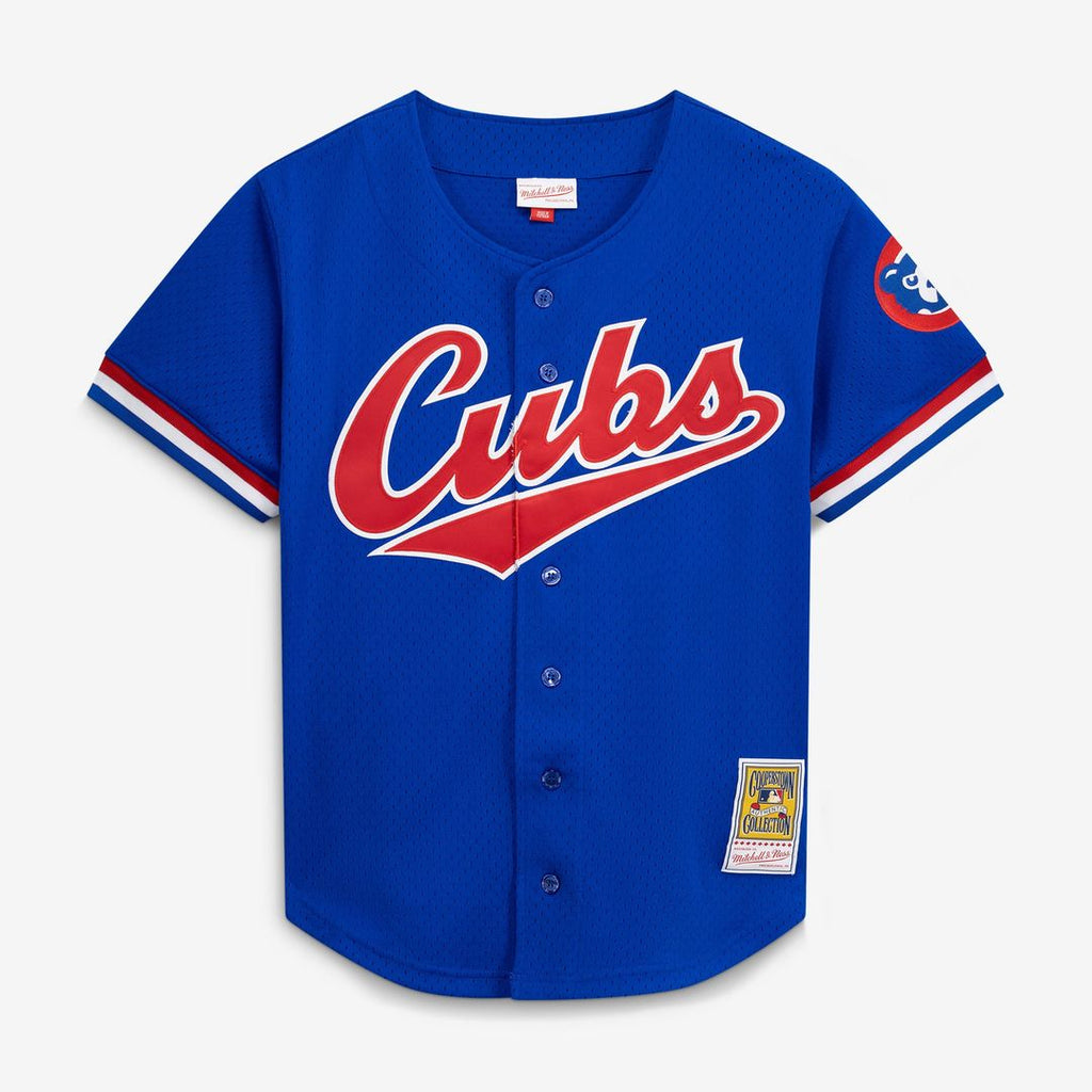 Chicago Cubs Ryne Sandberg Mitchell & Ness Royal Cooperstown Collection 1996 Mesh Batting Practice Button-Up Jersey