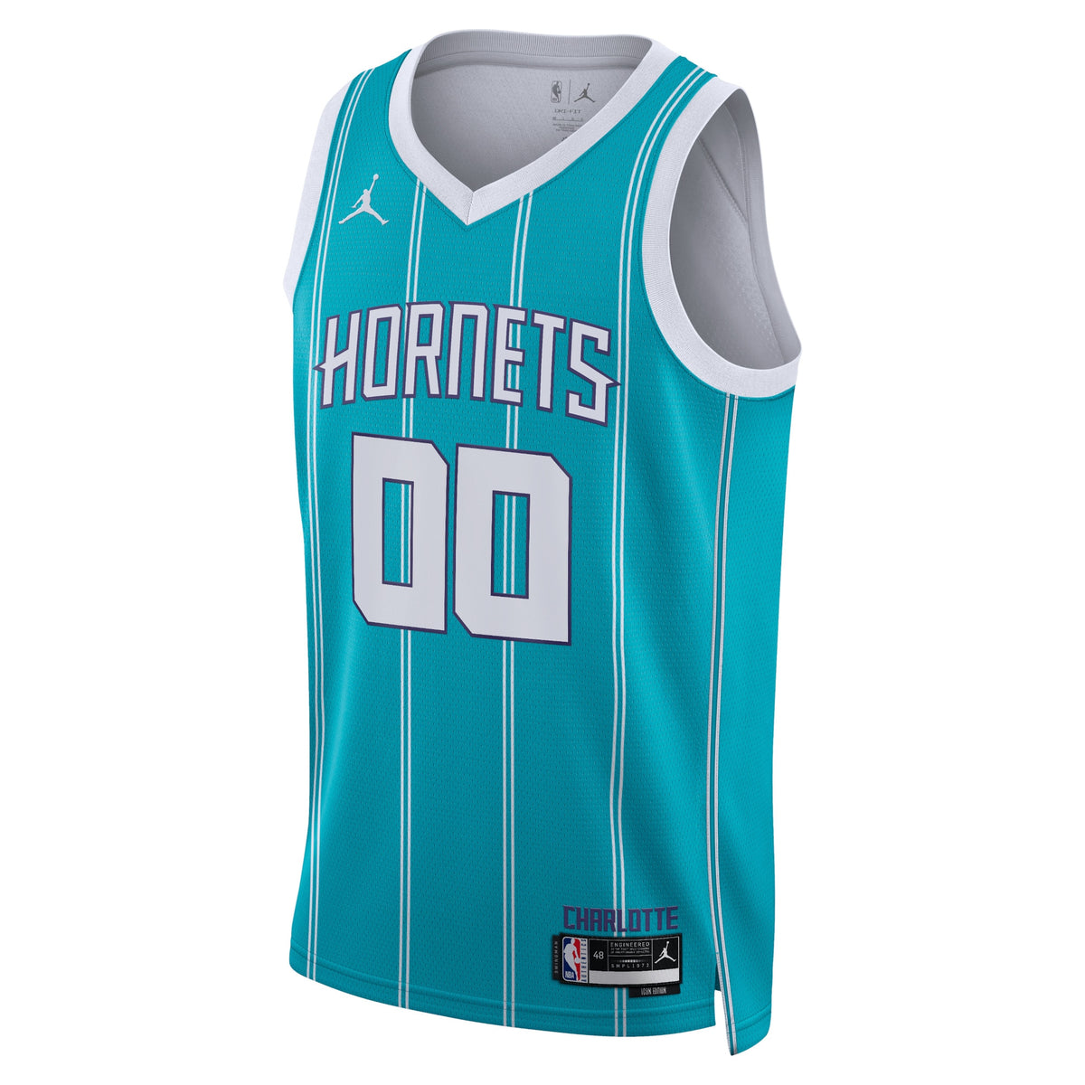 Charlotte Hornets Jordan Icon Edition Swingman Jersey - Custom - Unisex