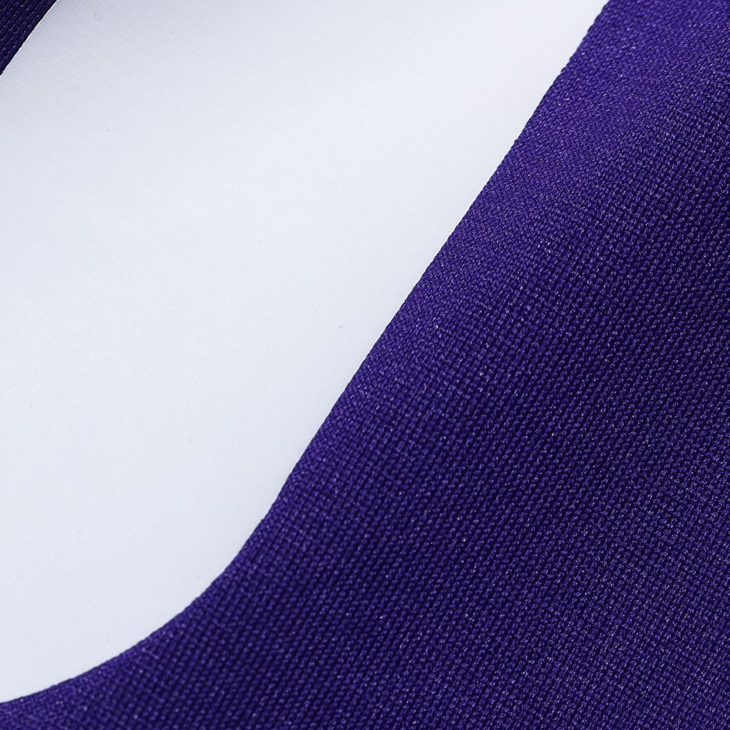 Minnesota Vikings Andrew Van Ginkel Nike Purple Team Game Jersey